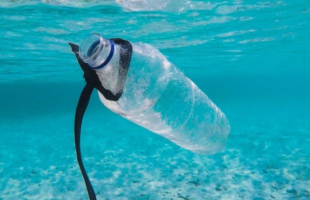 Des microbes « mangeurs de plastiques » bientôt commercialisés ?