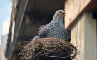 La pub très (haut) perchée des Comptoirs de la Bio… par Saint Gingembre