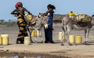 Les femmes sont sous-représentées dans les industries vertes